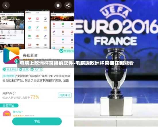 電腦上歐洲杯直播的軟件-電腦端歐洲杯直播在哪能看
