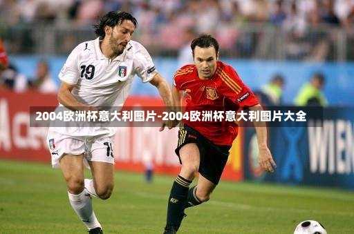 2004歐洲杯意大利圖片-2004歐洲杯意大利圖片大全